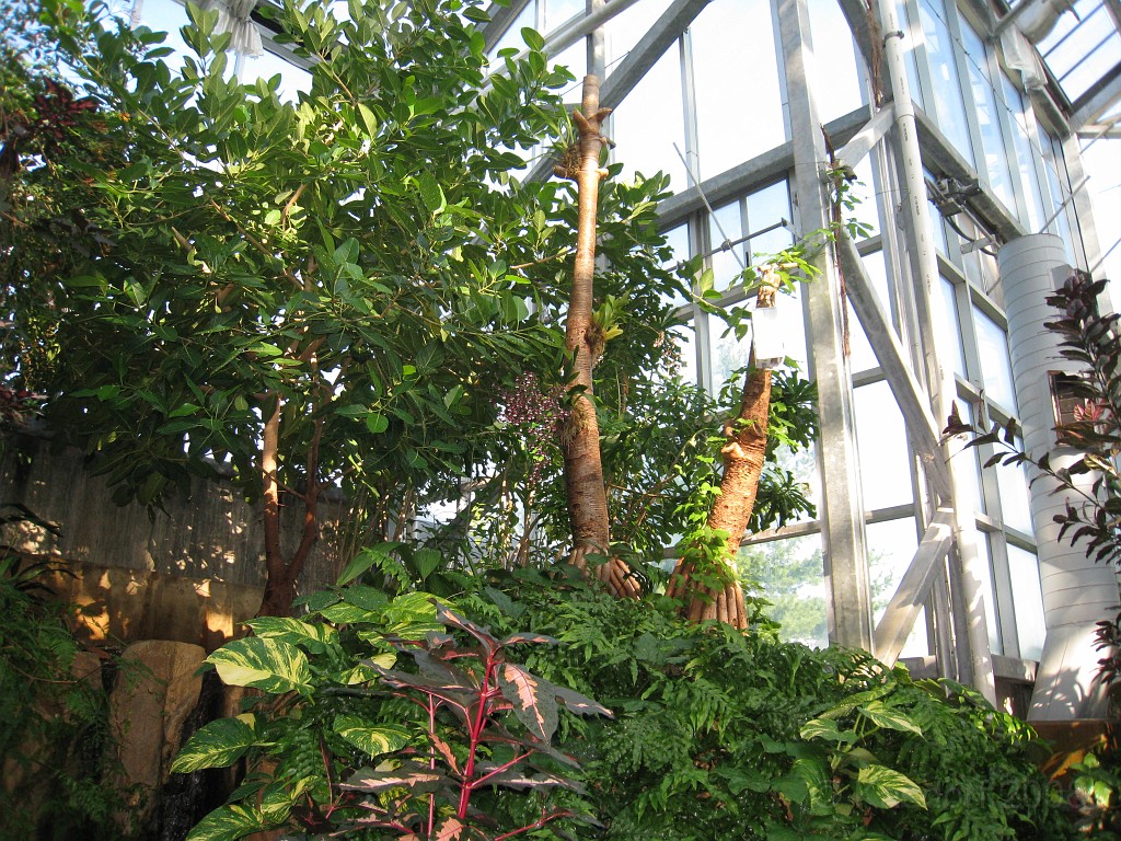 Michigans West Coast 2009 0600.jpg - Labor Day 2009. A trip along Michigans west coast to see beachs, art and buffets.